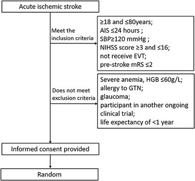 Rapid Intravenous Glyceryl Trinitrate in Ischemic Damage (RIGID) After Stroke: Rationale, Design and Protocol for a Prospective Randomized Controlled Trial